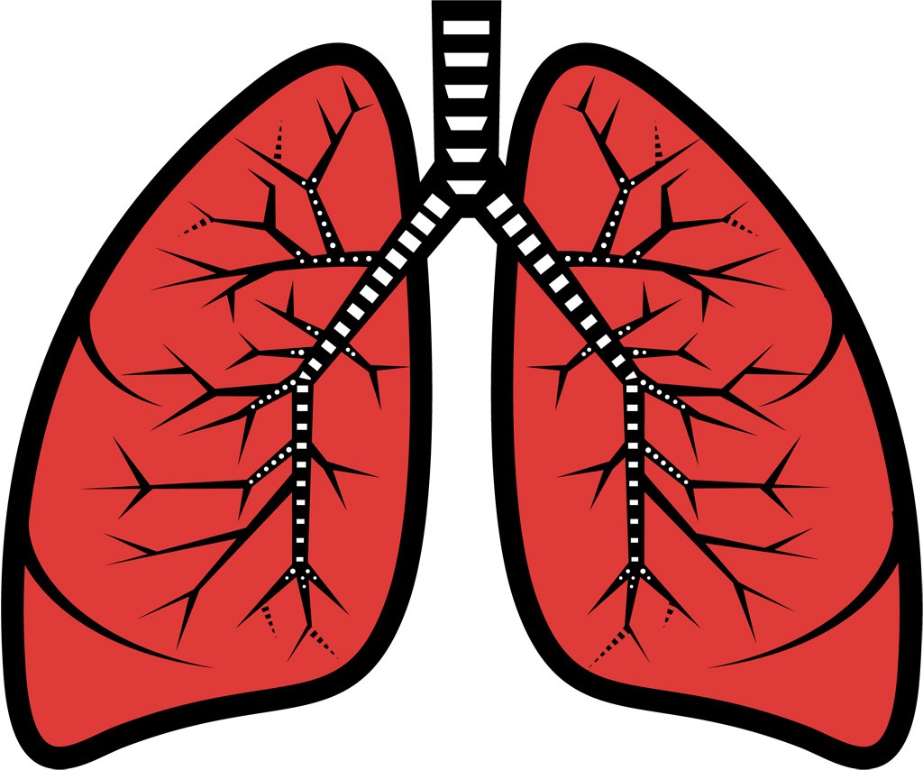 【2015/1/22】肺癌悪化の新たな分子メカニズムが解明される 