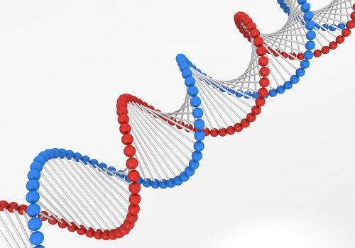 【2015/7/18】 ゲノムを知れば、的確な治療が見えてくる？動き出したゲノム医療
